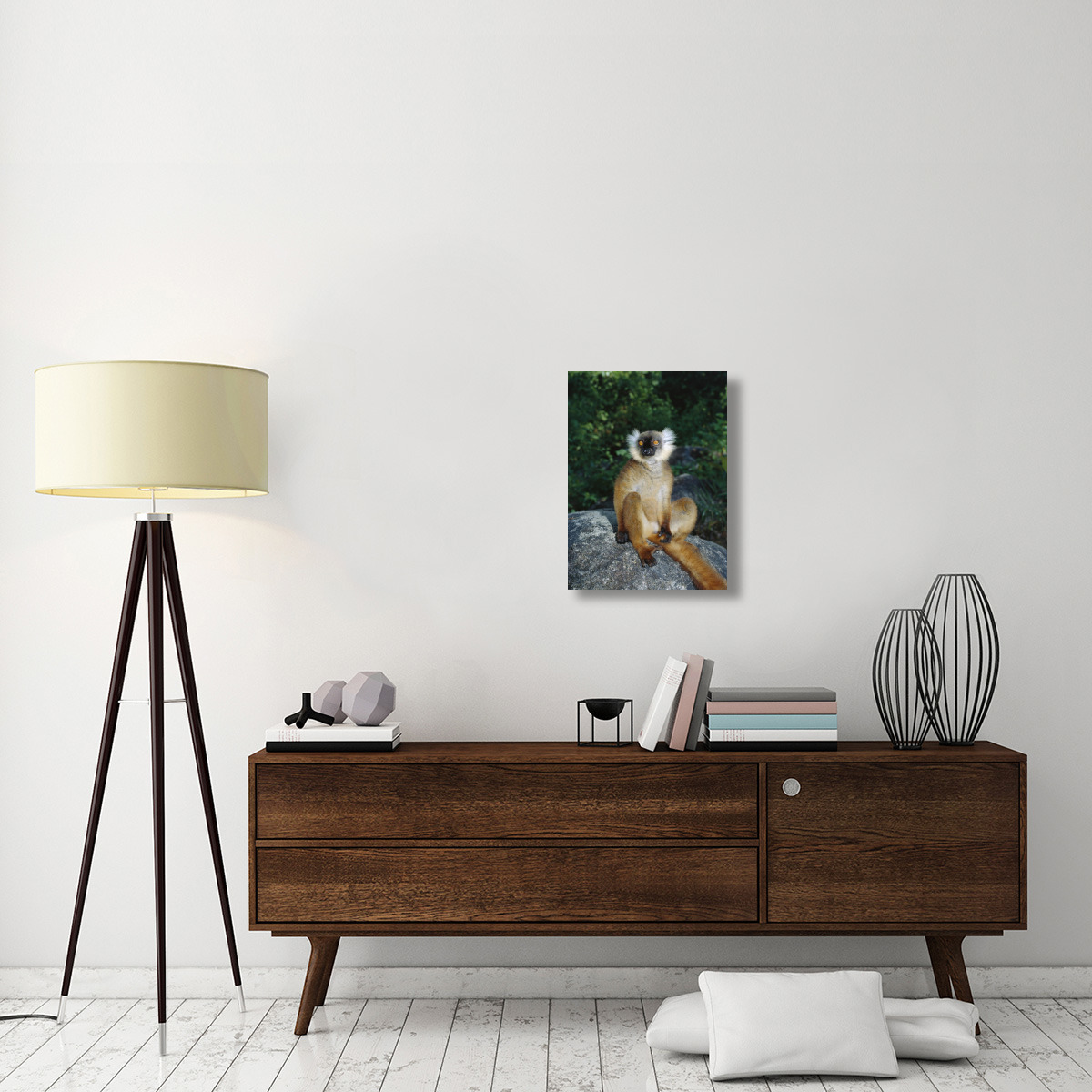 Black Lemur female, Nosy Komba, Madagascar-Canvas Art-18&quotx24"