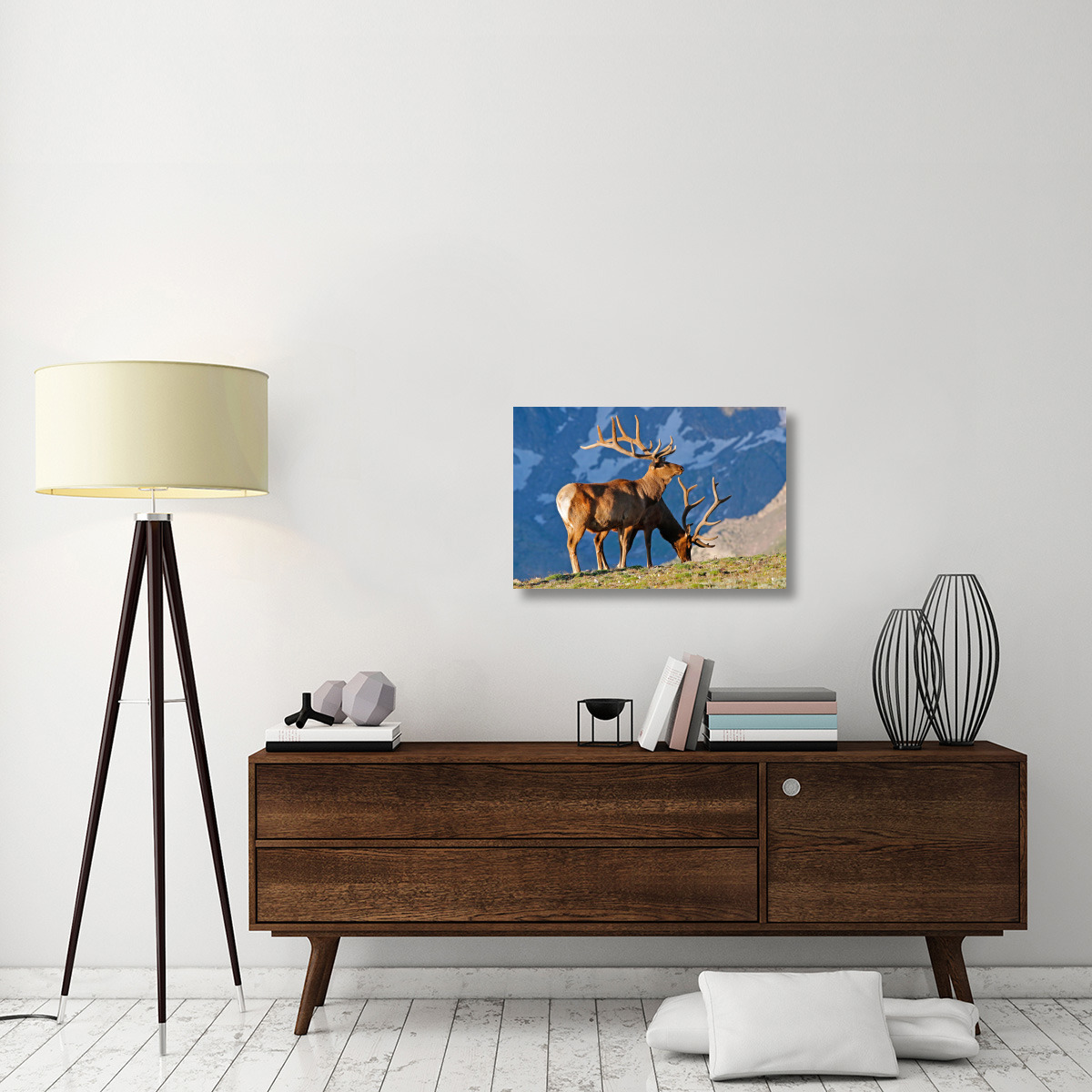 Two High Country Bull Elk-Canvas Art-30&quotx20.1"