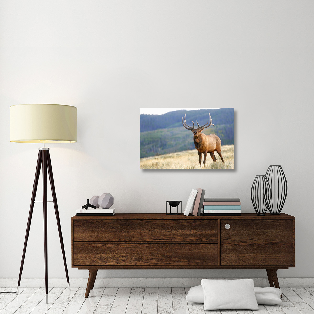 Bull Elk Calling-Canvas Art-36&quotx23.4"