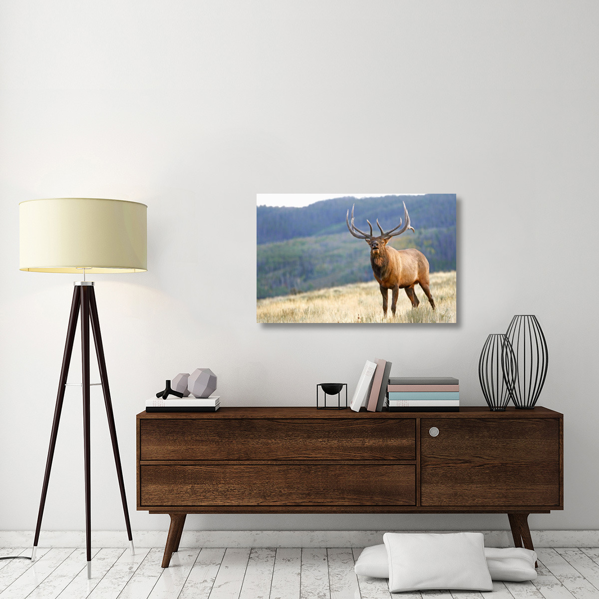 Bull Elk Calling-Canvas Art-40&quotx26"