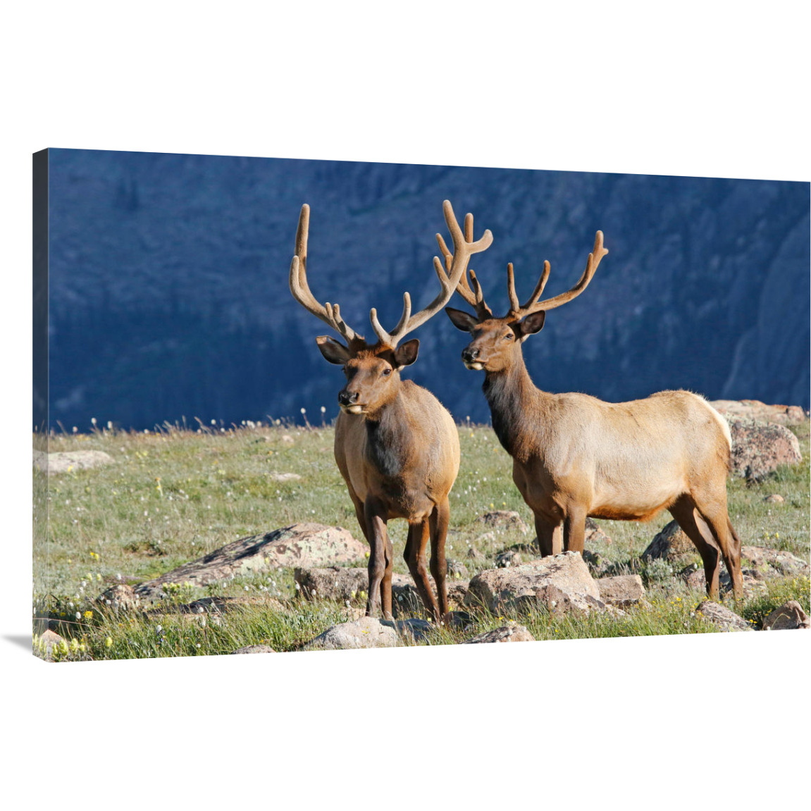 High Prairie-Canvas Art-44&quotx28.6"