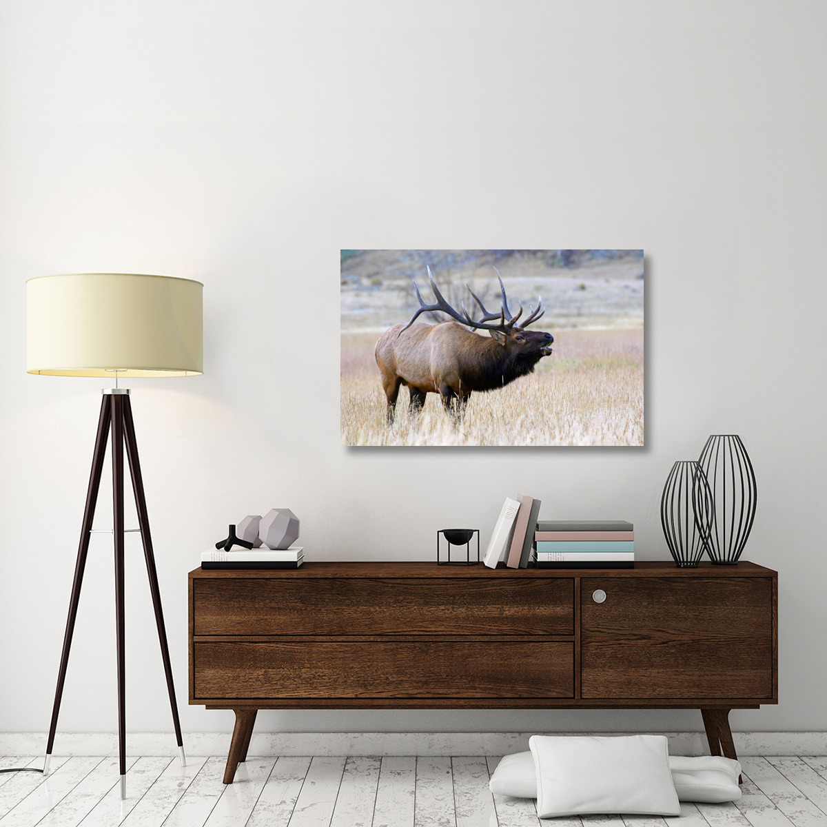 The Long Neck-Canvas Art-44&quotx28.6"