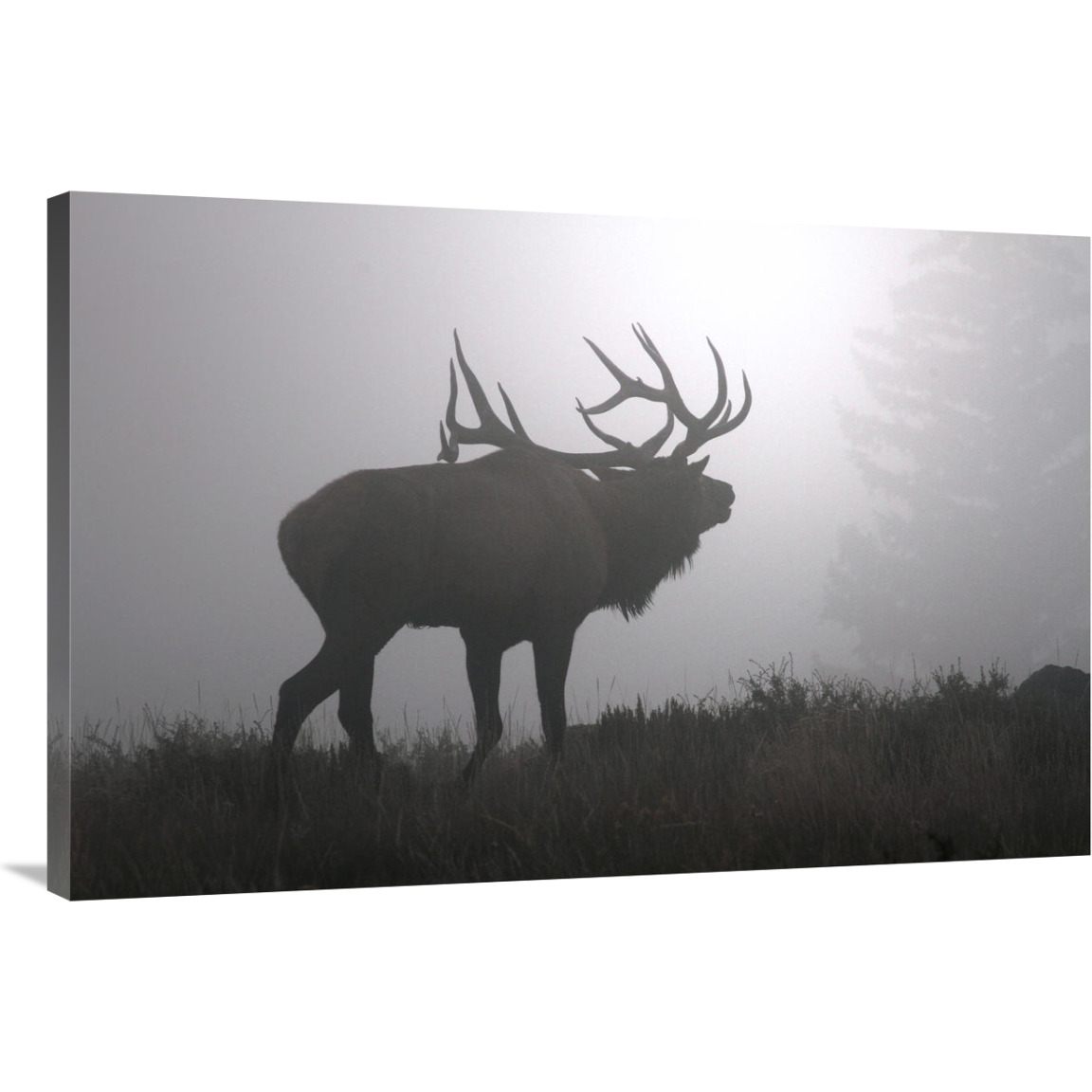 Calling in to the Fog-Canvas Art-40&quotx26.8"