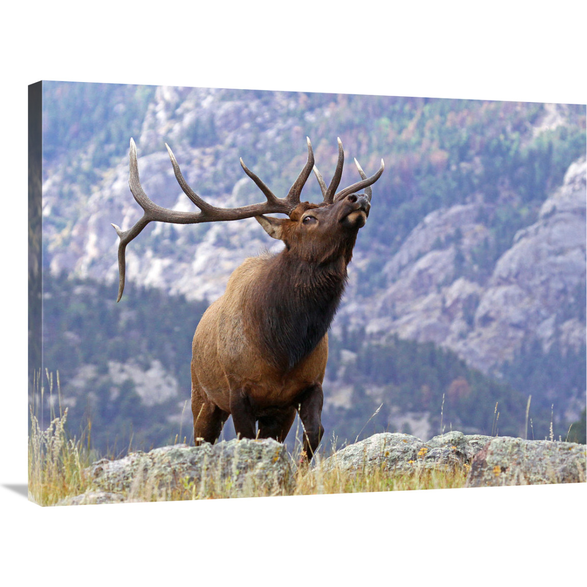 On the Ridgeline-Canvas Art-36&quotx27"