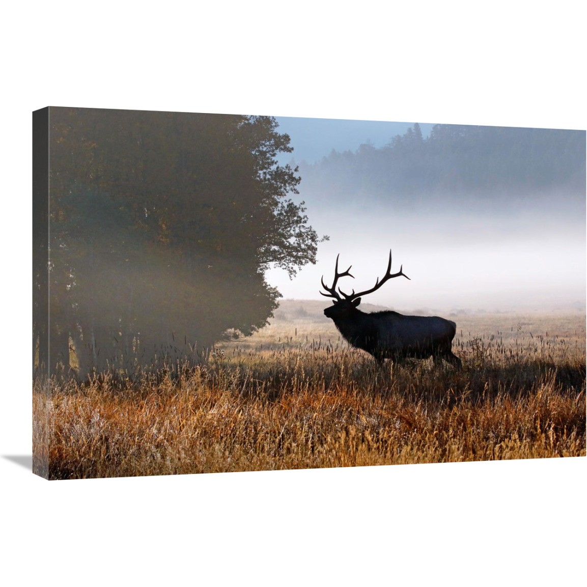 Rolling Mist-Canvas Art-30&quotx20.1"