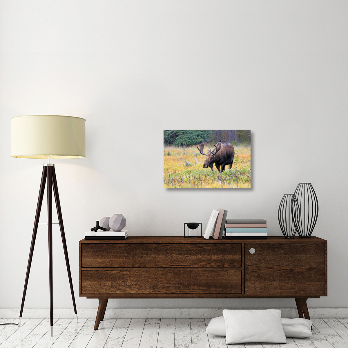 Bull Moose-Canvas Art-30&quotx20.1"