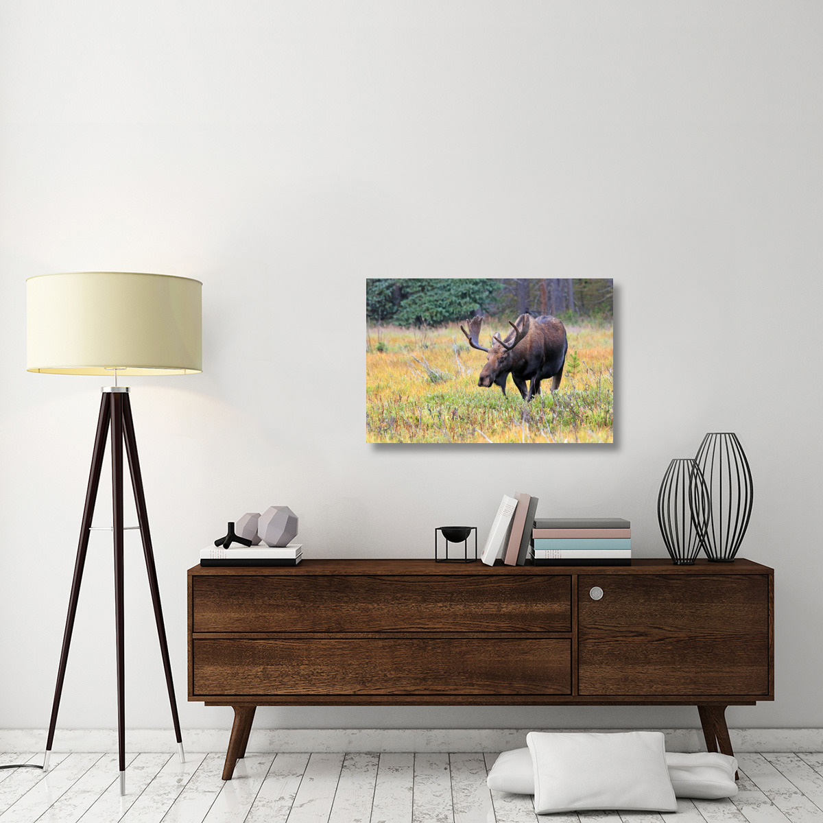 Bull Moose-Canvas Art-36&quotx24.12"