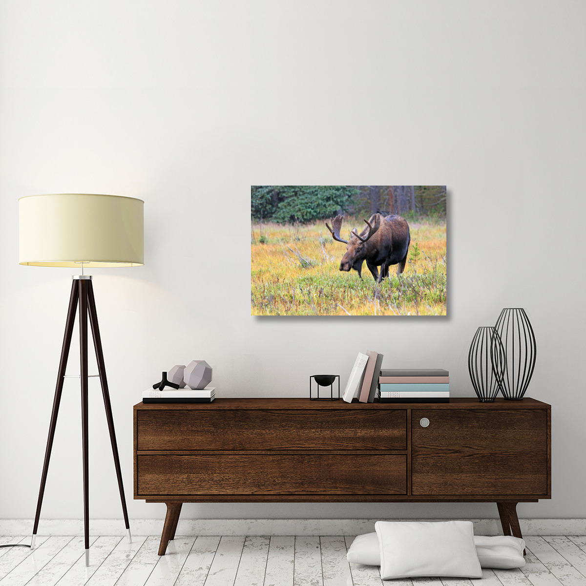 Bull Moose-Canvas Art-40&quotx26.8"