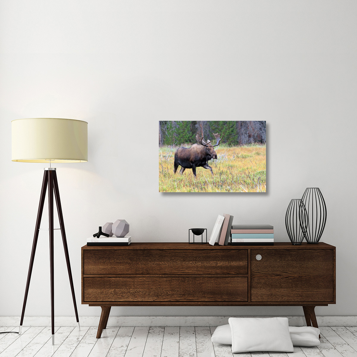 Bull Moose Meadow-Canvas Art-36&quotx24.12"