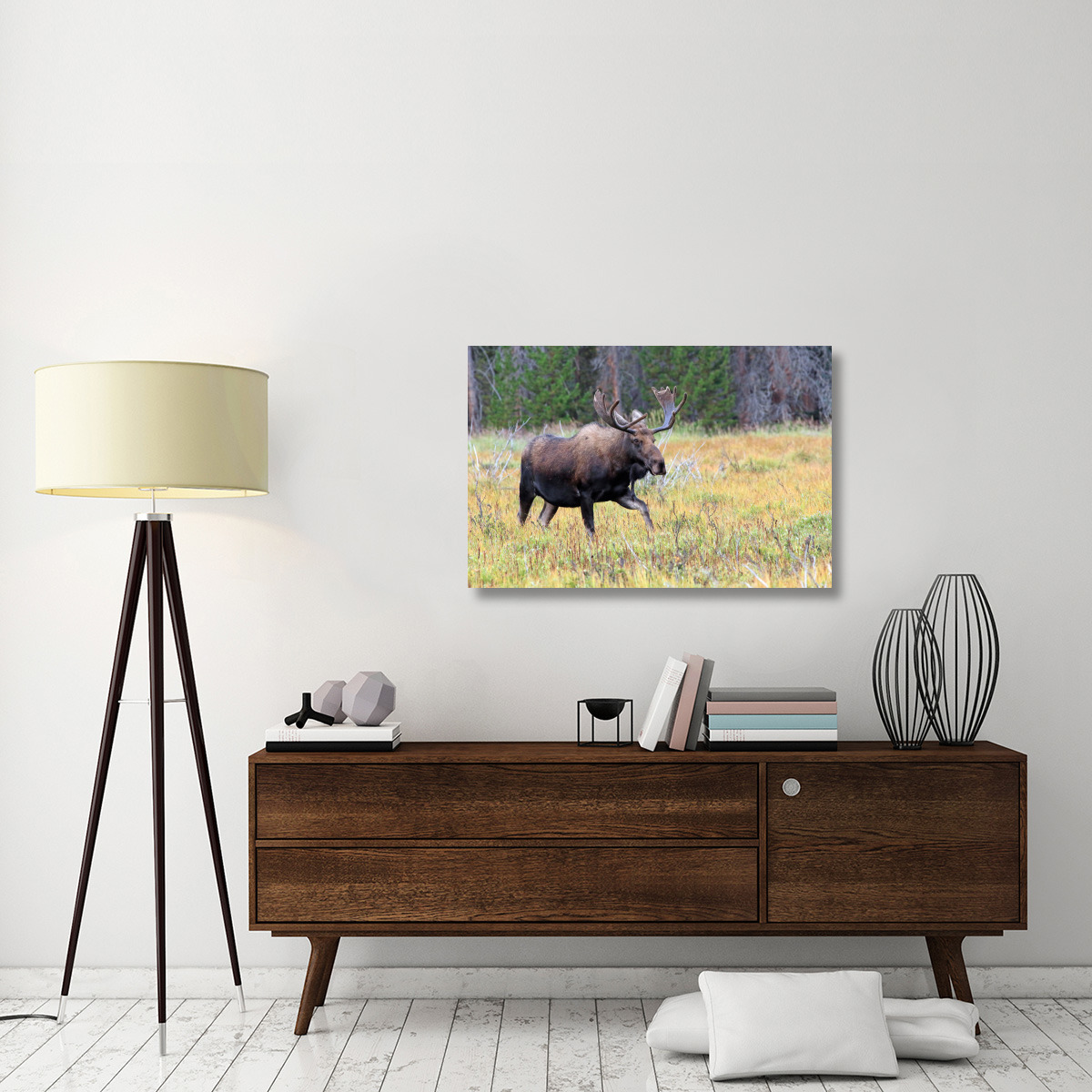 Bull Moose Meadow-Canvas Art-40&quotx26.8"