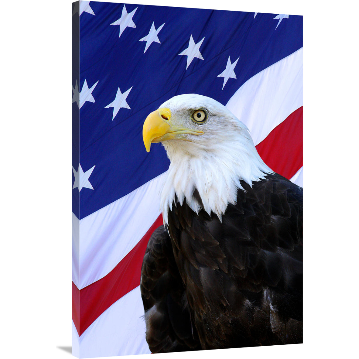 The Patriot-Canvas Art-26.8&quotx40"