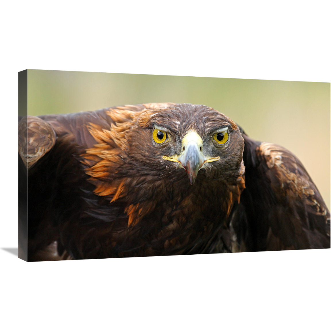 Ready for Flight-Canvas Art-30&quotx18.3"