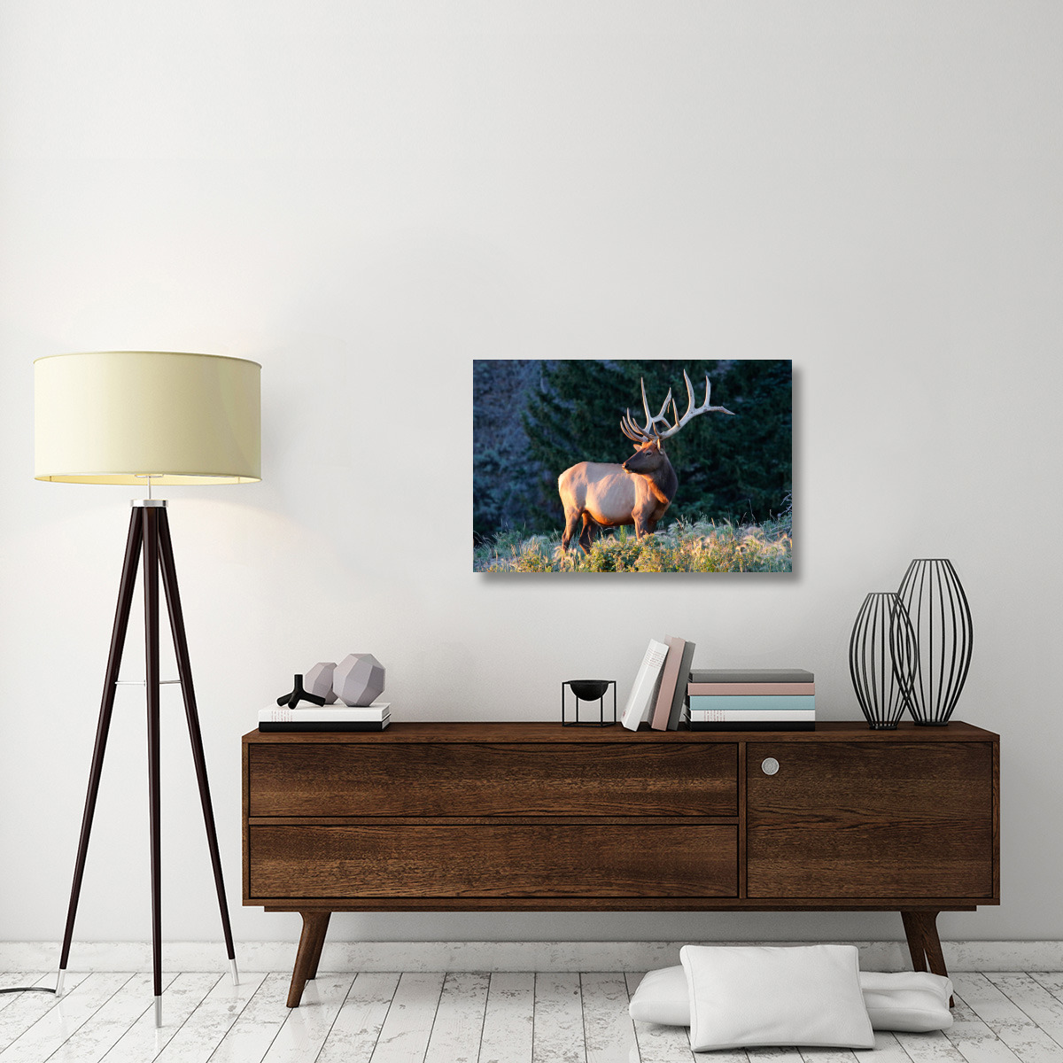 Bull Elk at Sunrise-Canvas Art-36&quotx24.12"