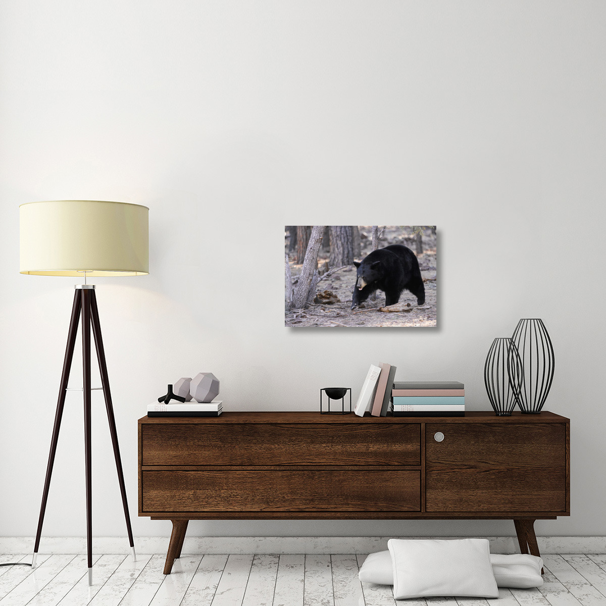 Spring Black Bear-Canvas Art-30&quotx20.1"