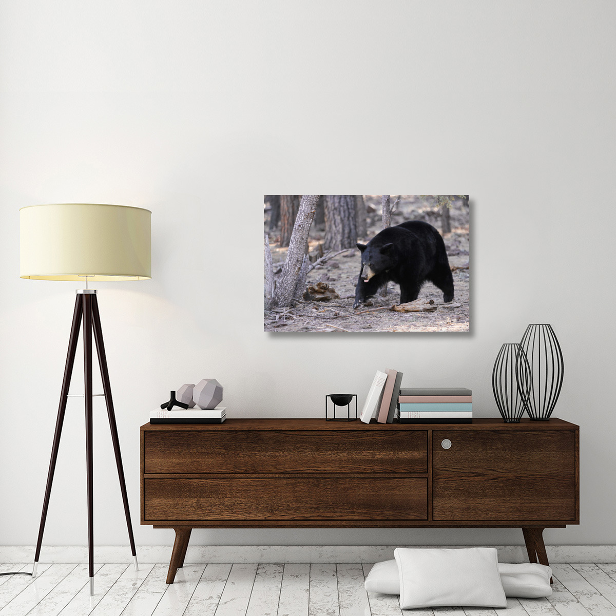 Spring Black Bear-Canvas Art-40&quotx26.8"