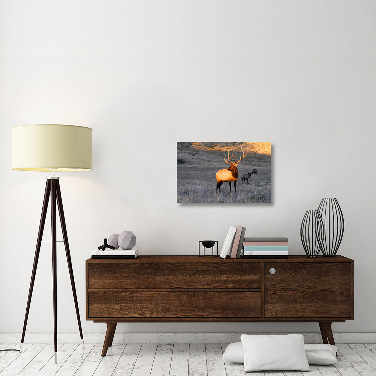 Elk at First Light-Canvas Art-30&quotx19.5"