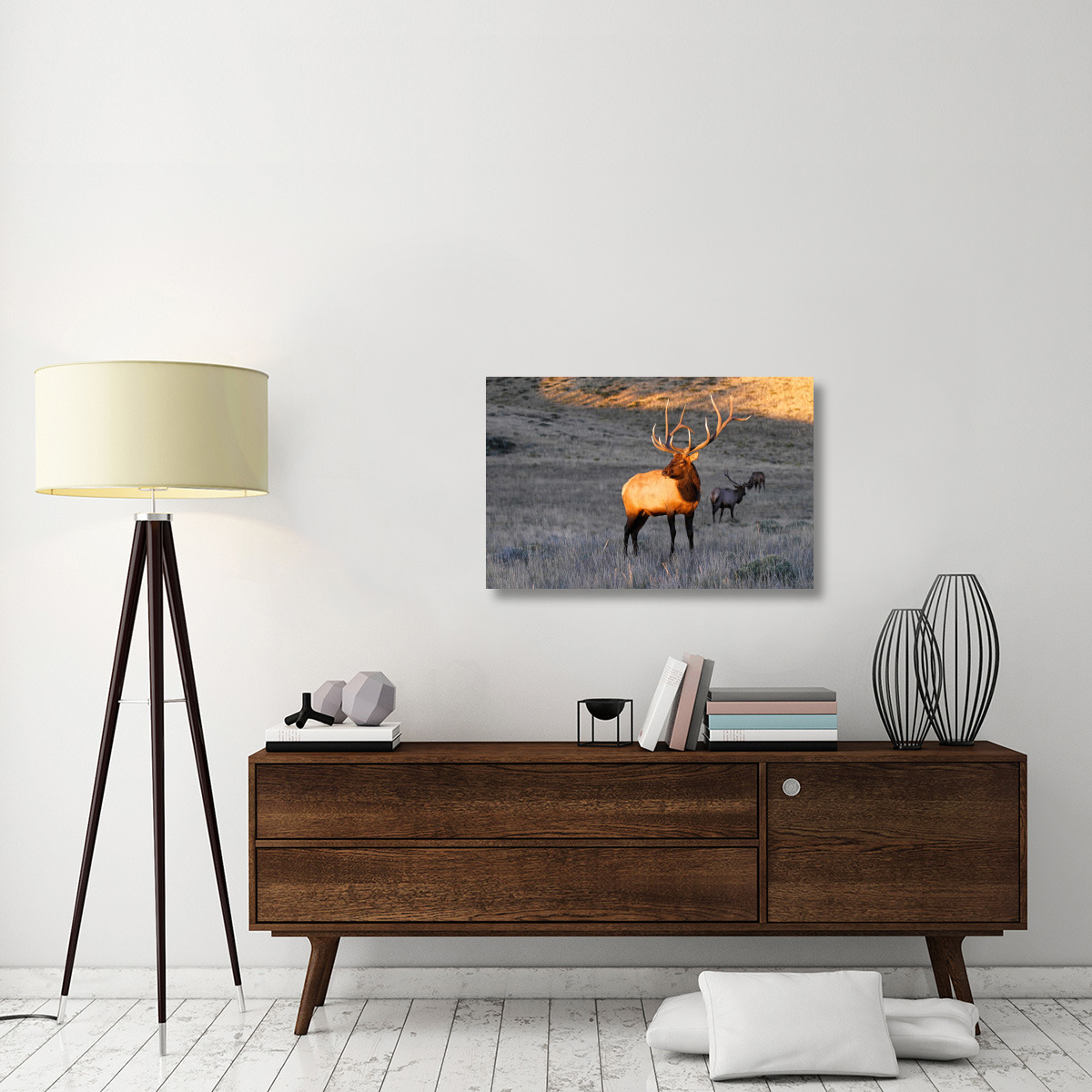 Elk at First Light-Canvas Art-36&quotx23.4"