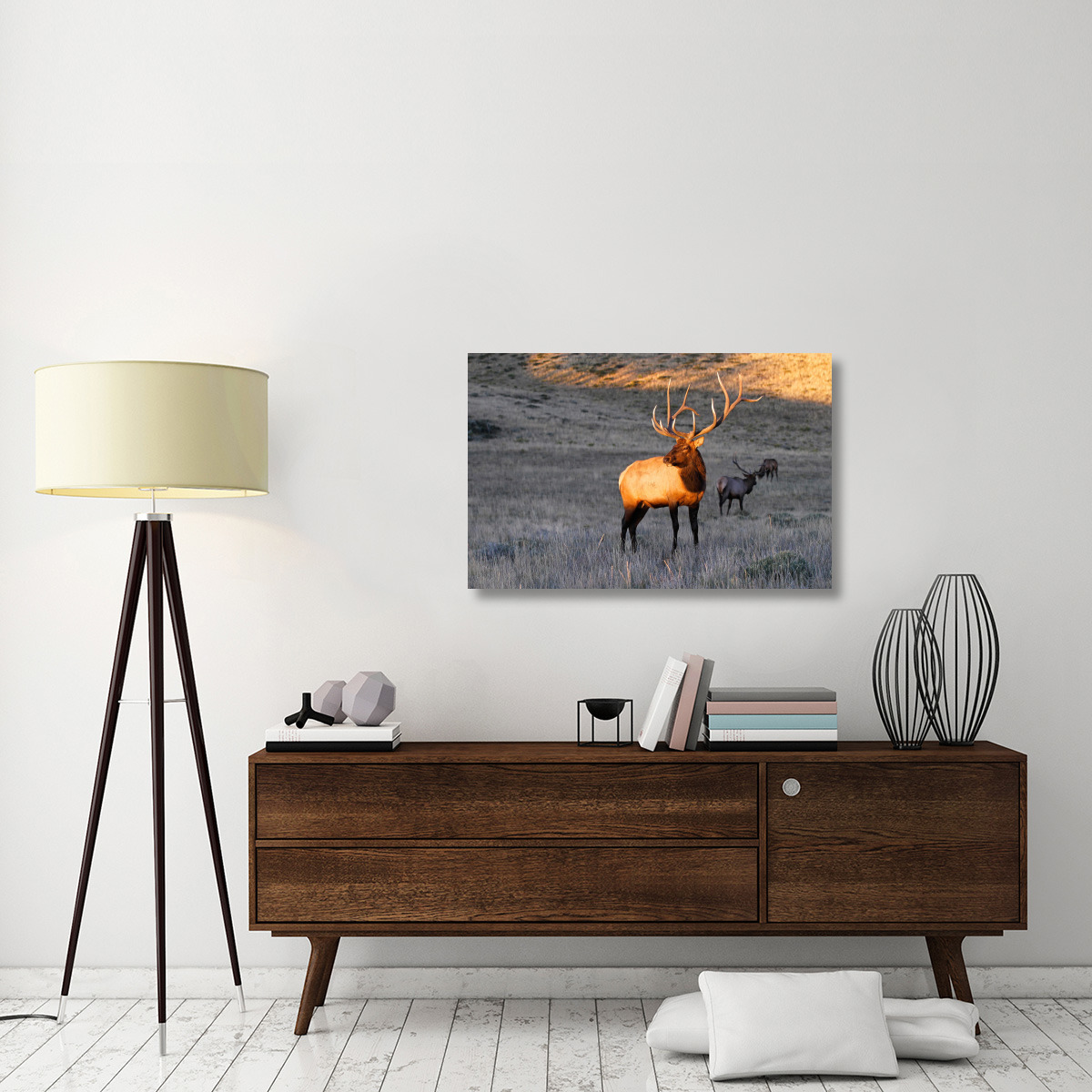 Elk at First Light-Canvas Art-40&quotx26"