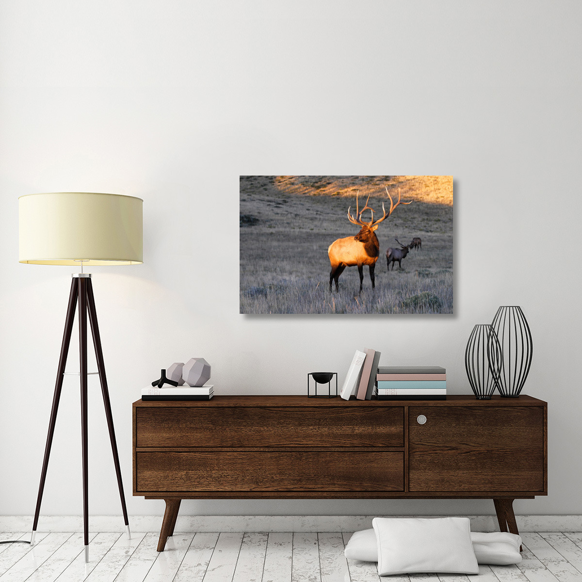 Elk at First Light-Canvas Art-44&quotx28.6"