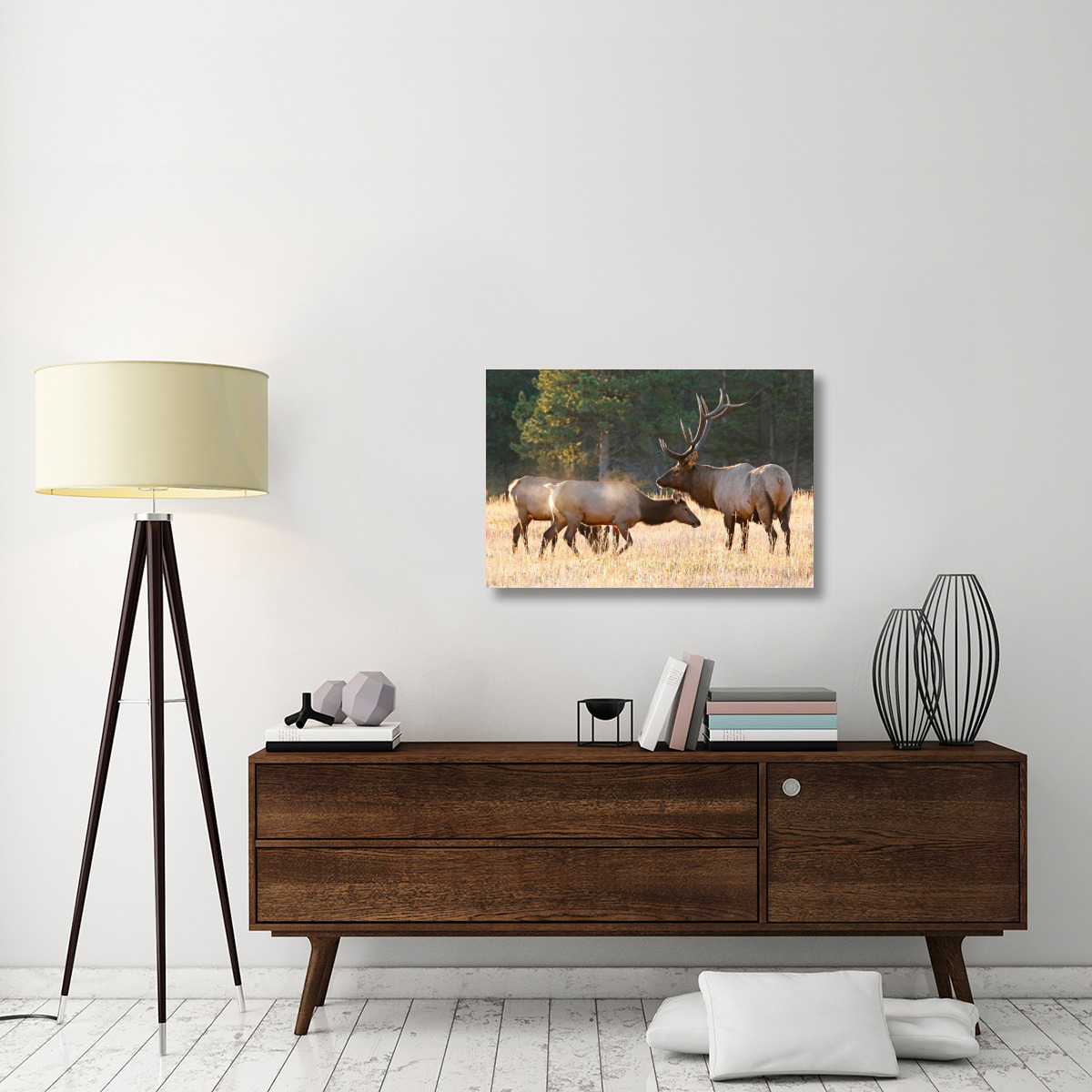 Elk Family Group-Canvas Art-36&quotx24.12"