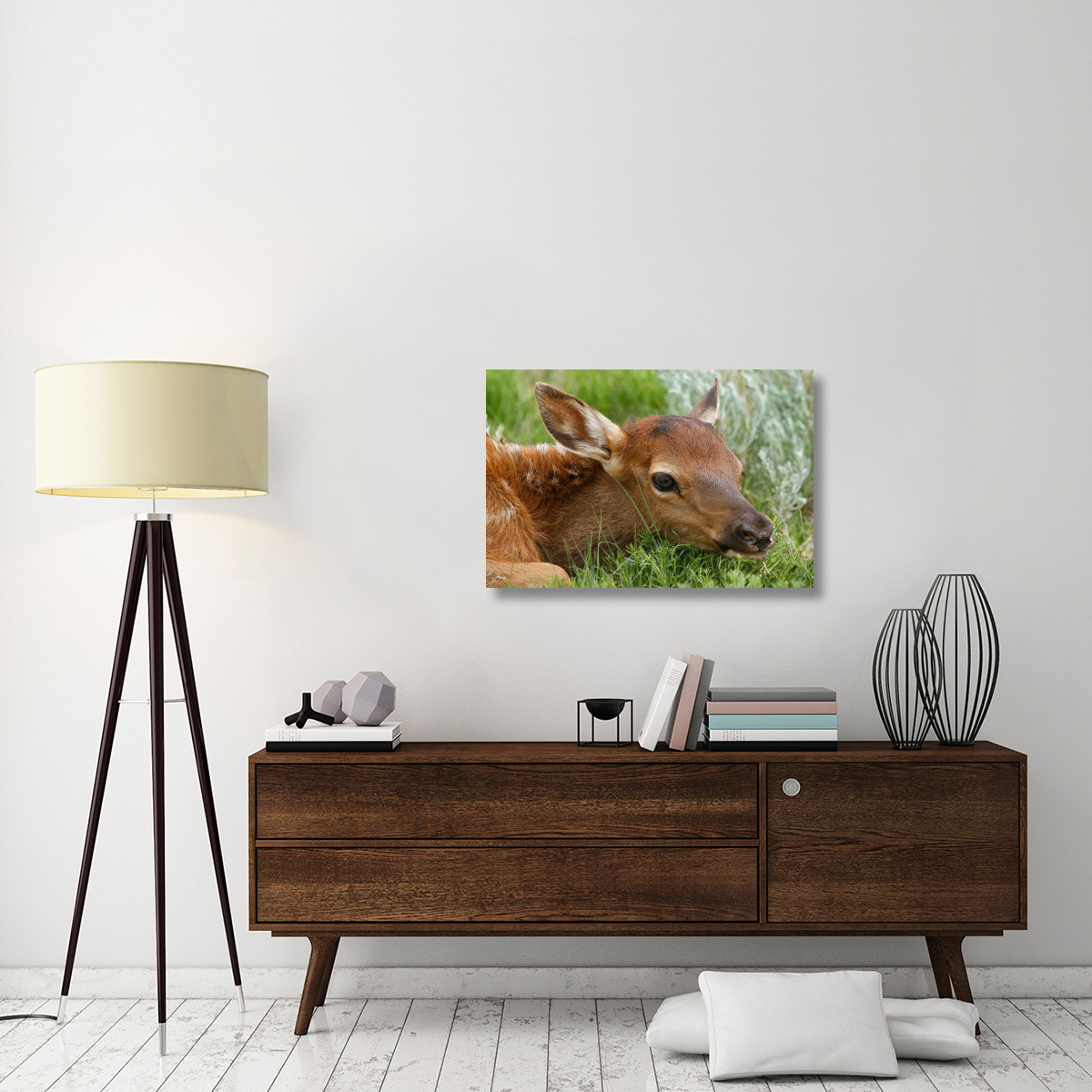 Resting Calf-Canvas Art-36&quotx24.12"