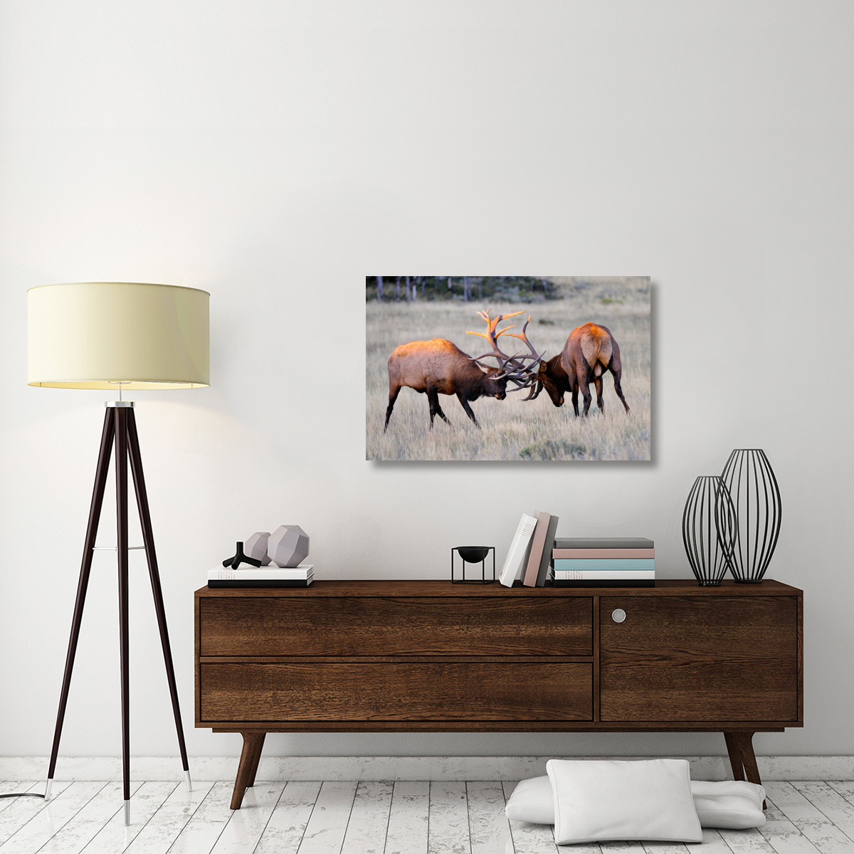 Elk Duel at Sunrise-Canvas Art-40&quotx26"