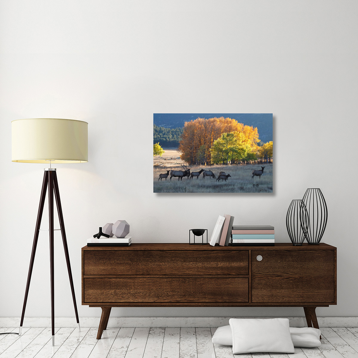 Fall Morning with Elk-Canvas Art-40&quotx26.8"