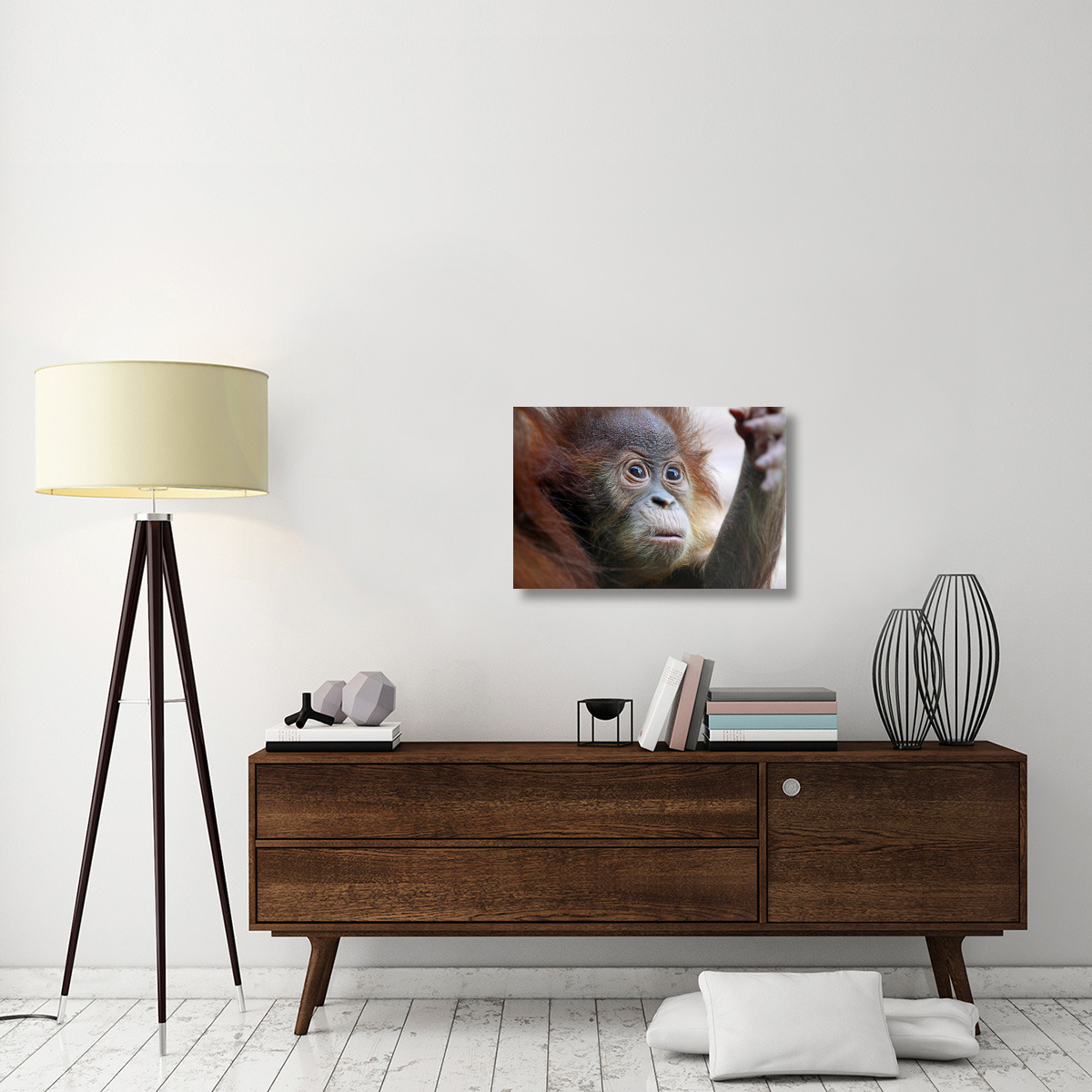 Orangutan Baby-Canvas Art-30&quotx20.1"