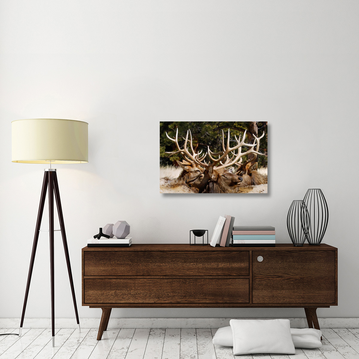 Antler Show-Canvas Art-36&quotx24.12"