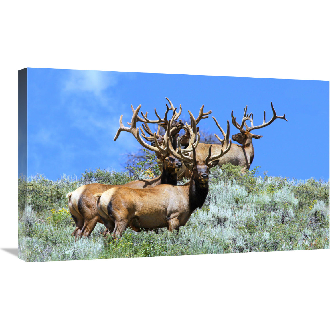 The Mens Club-Canvas Art-30&quotx18.6"