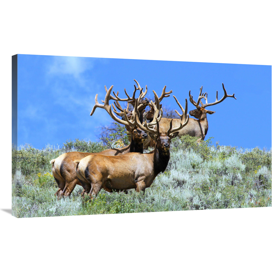 The Mens Club-Canvas Art-40&quotx24.8"