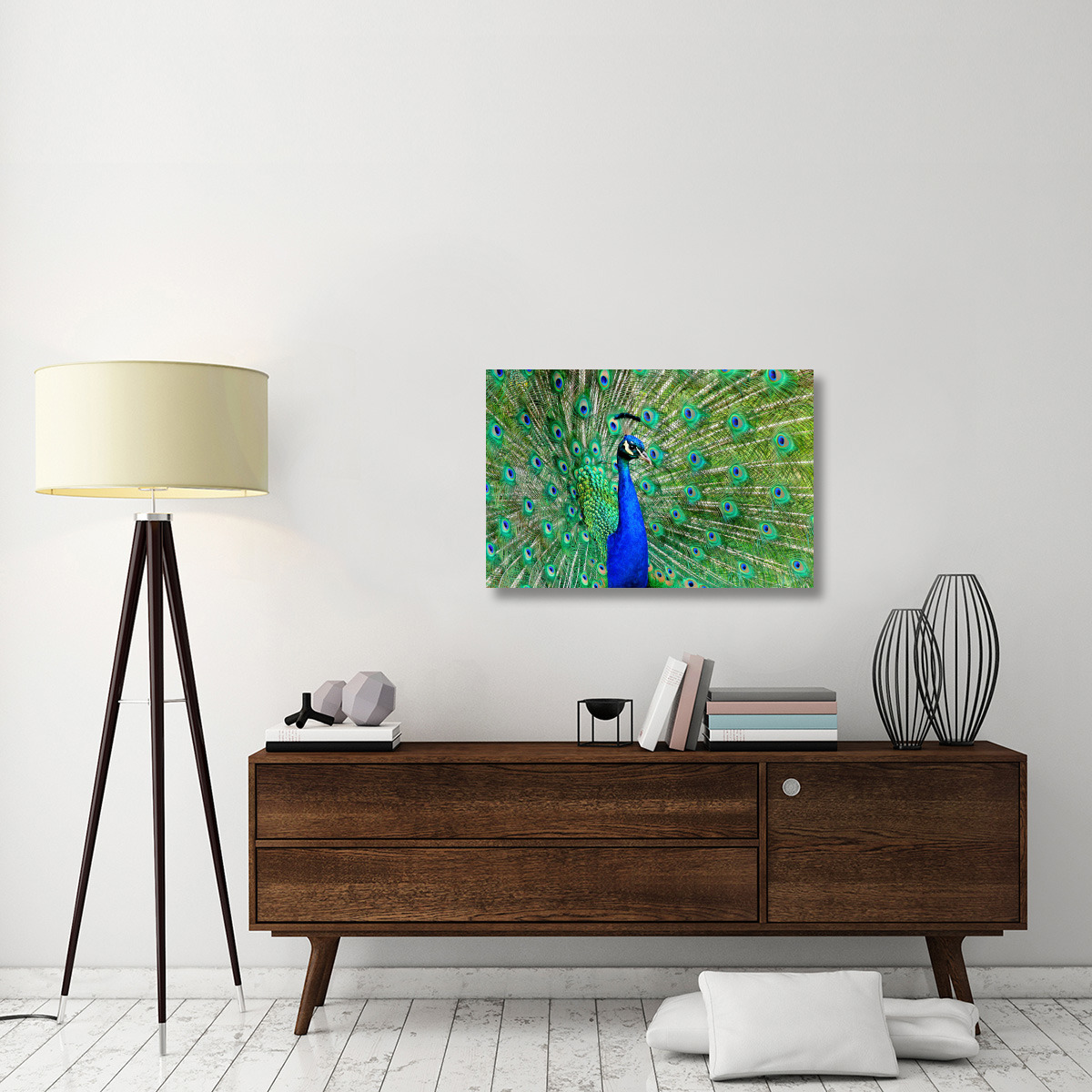 Majestic Peacock II-Canvas Art-36&quotx24.12"