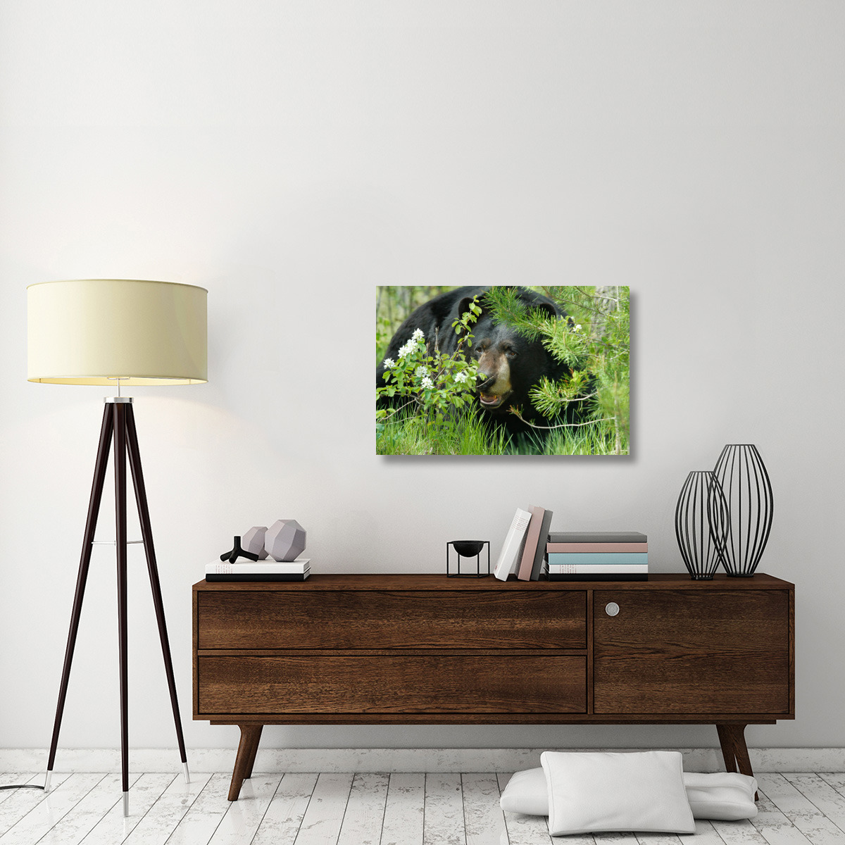 Lounging Black Bear-Canvas Art-36&quotx24.12"