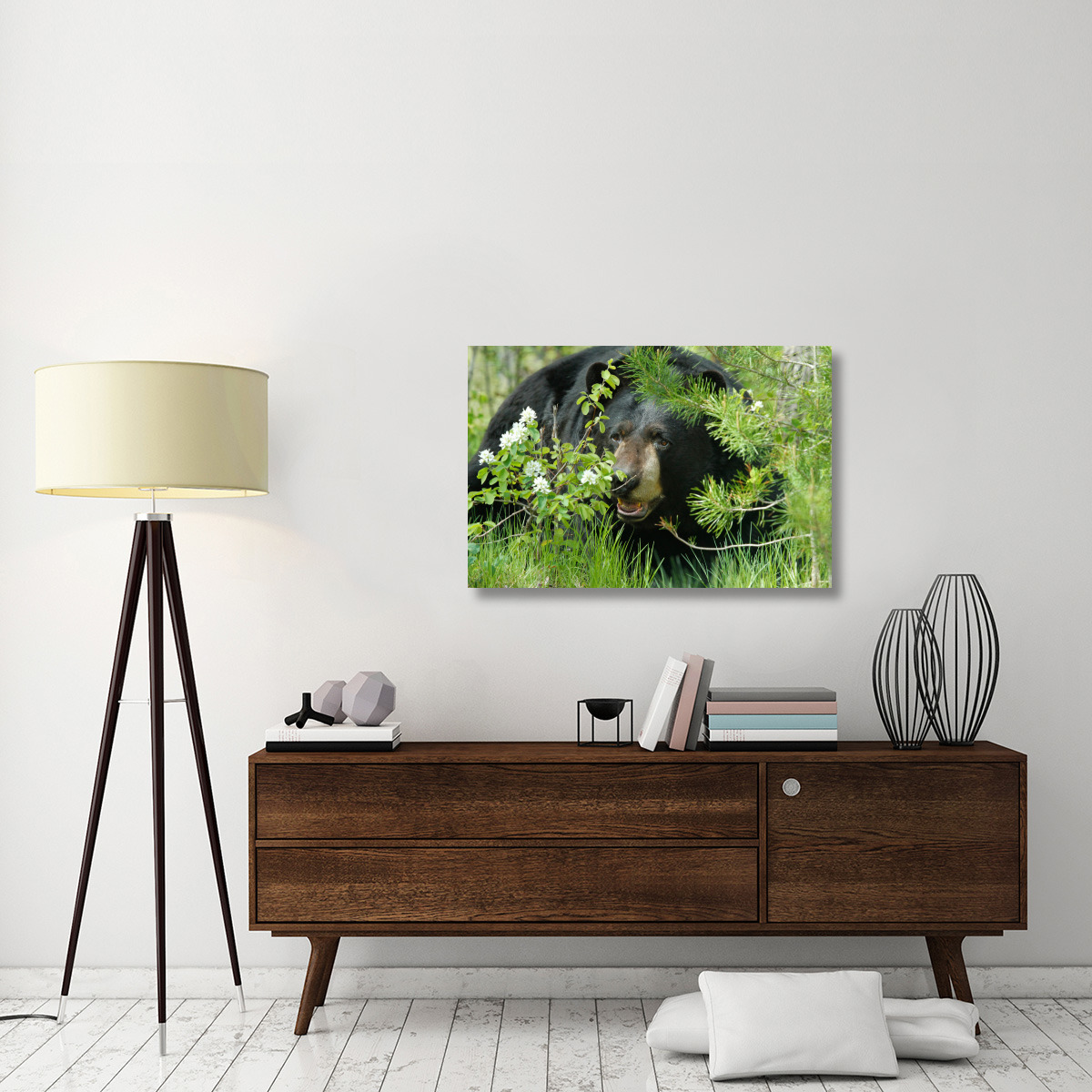 Lounging Black Bear-Canvas Art-40&quotx26.8"