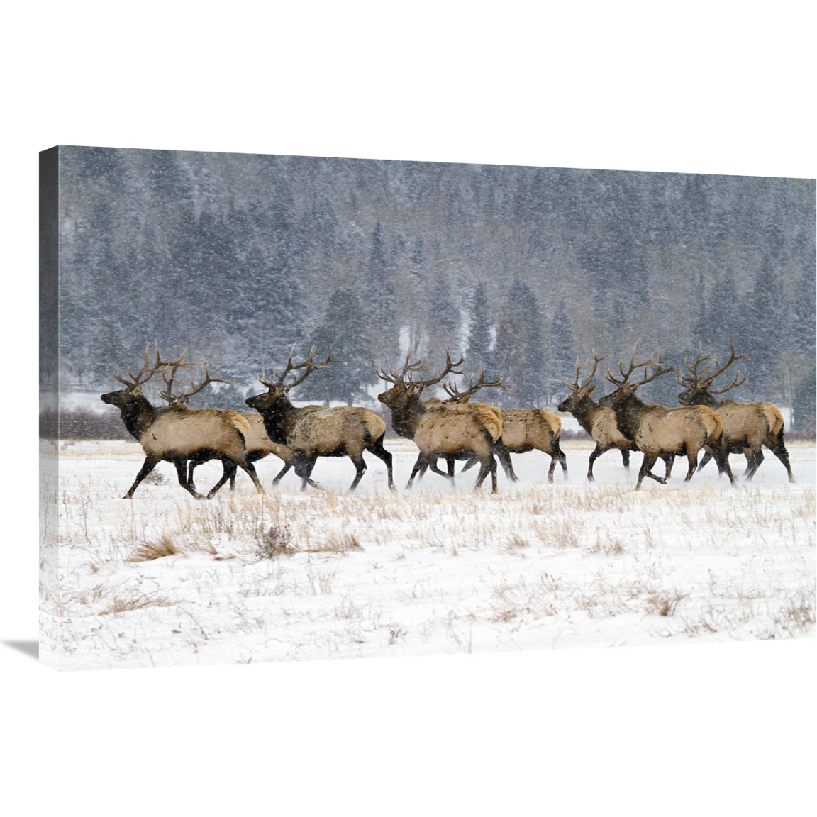 Band of Brothers in the Snow-Canvas Art-36&quotx24.12"