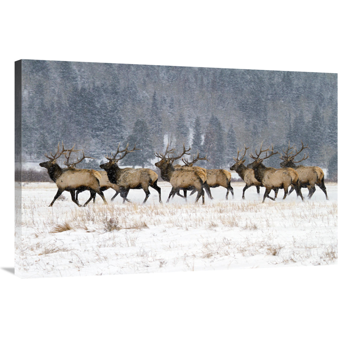 Band of Brothers in the Snow-Canvas Art-40&quotx26.8"