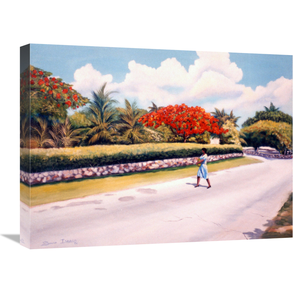 Poncianna Drive-Canvas Art-24&quotx18"