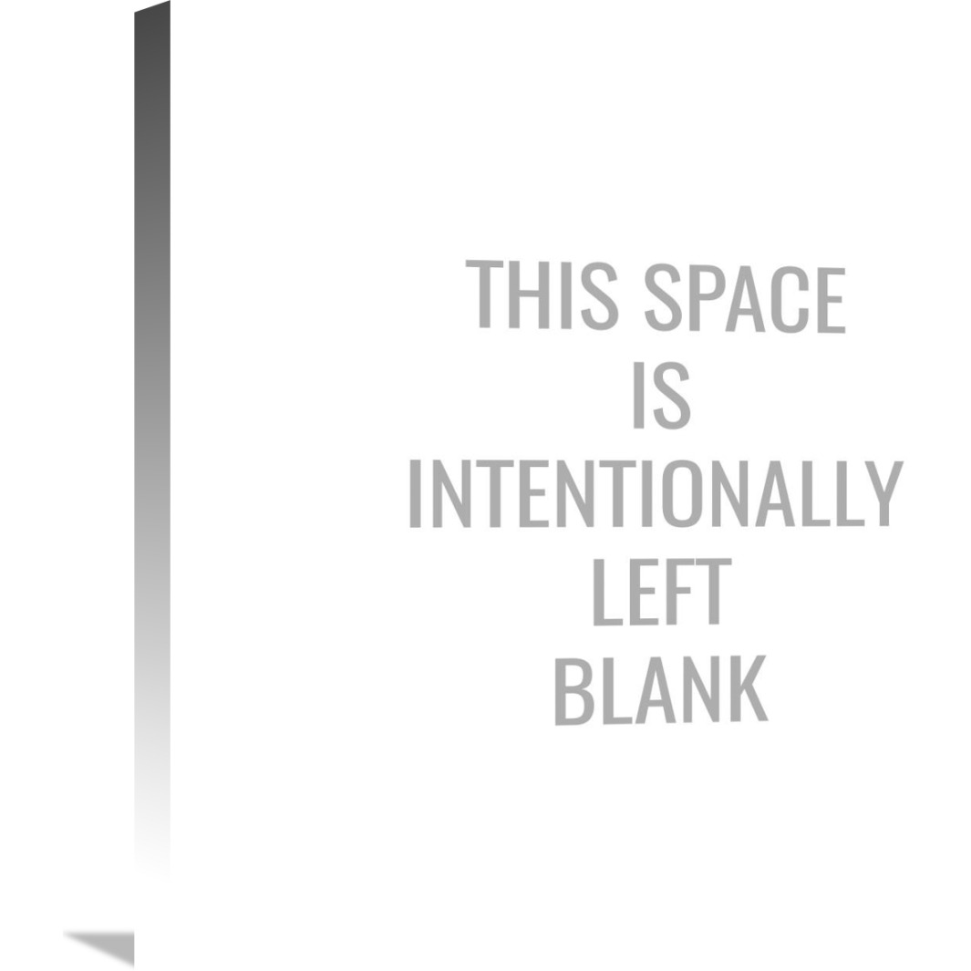 This Space Is Intentionally Left Blank-Canvas Art-24&quotx24"