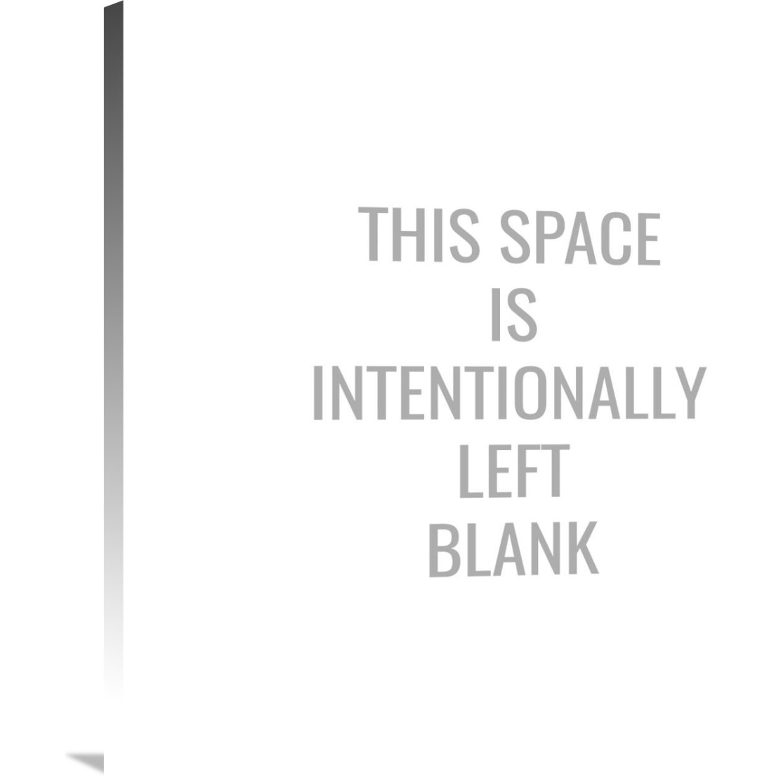 This Space Is Intentionally Left Blank-Canvas Art-36&quotx36"