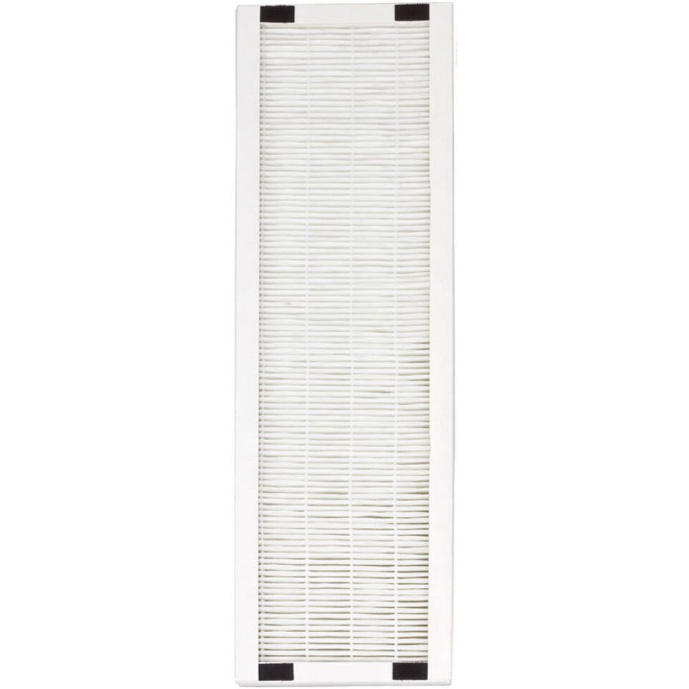 Replacement HEPA Filter for AC-2062G (pack of 2)