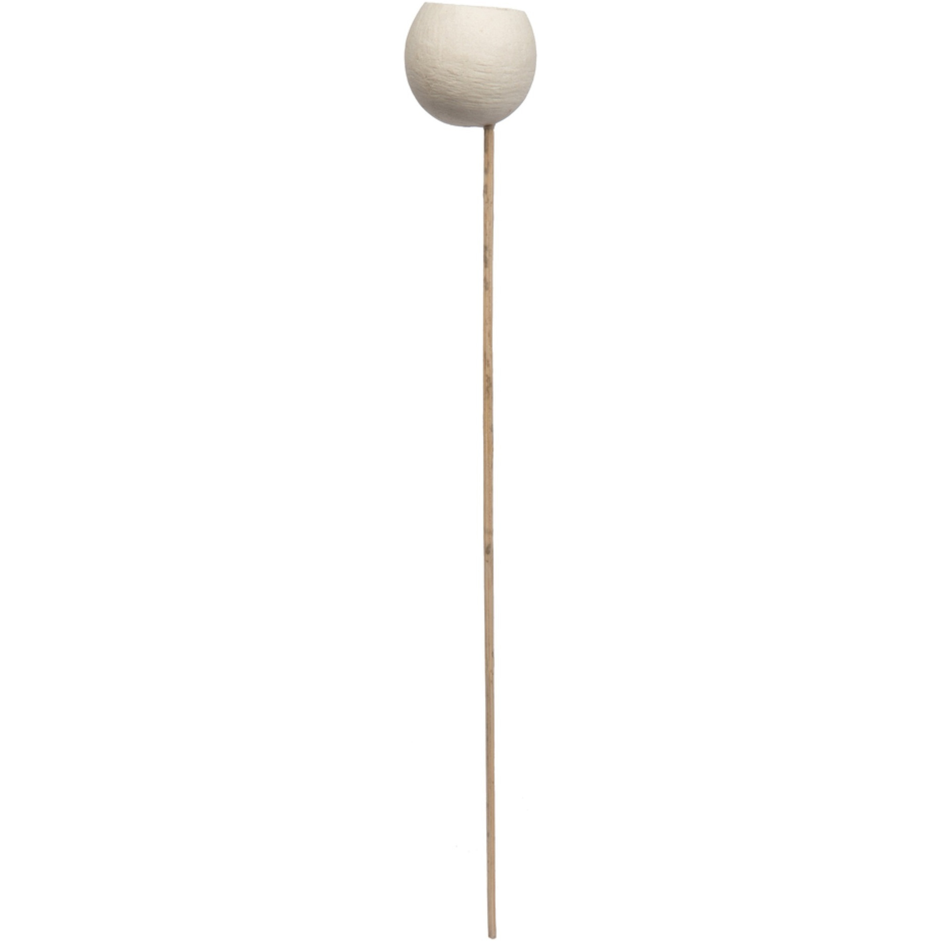 20" Bell Cup Bleached Stem 40/pk