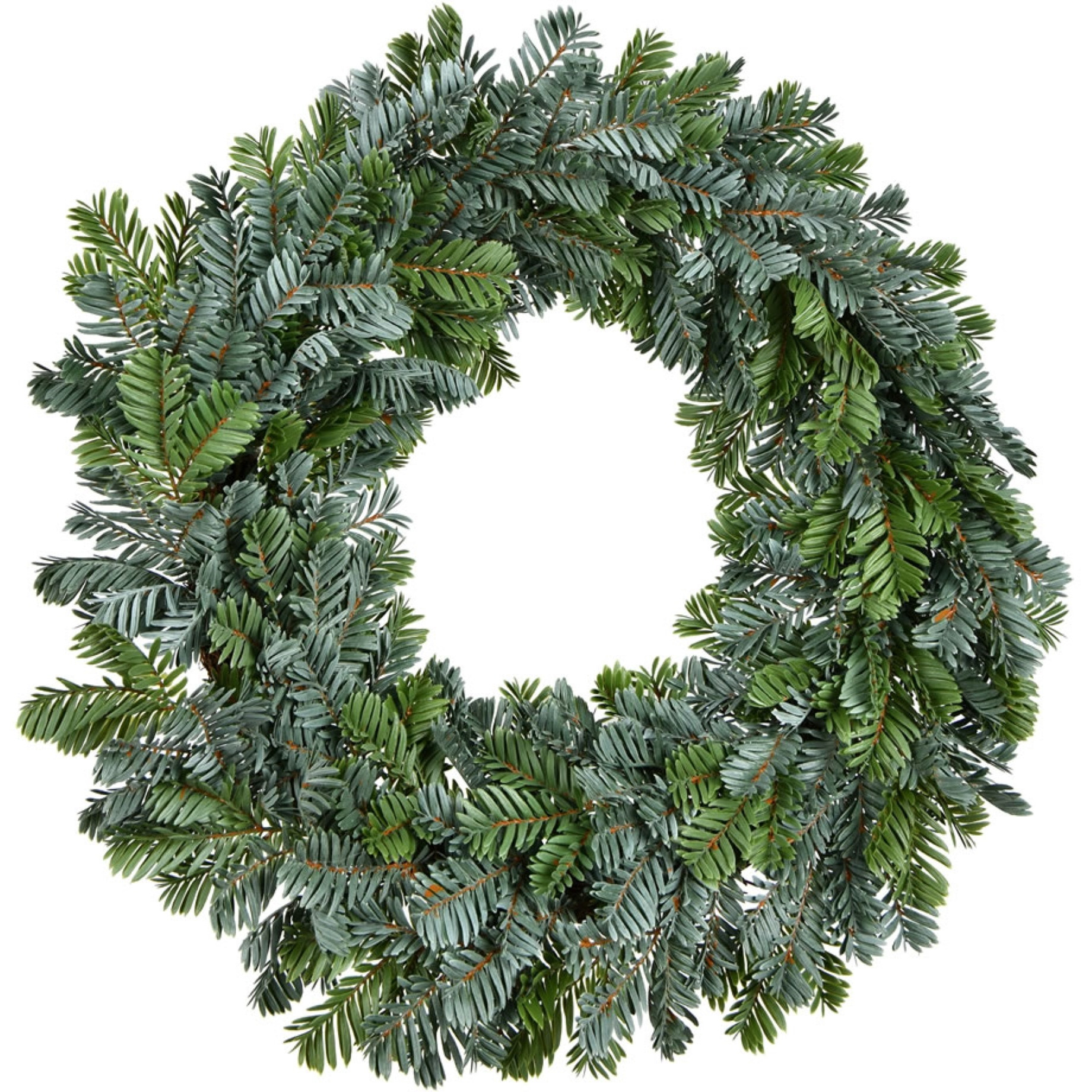 24" Green Medford Pine Wreath