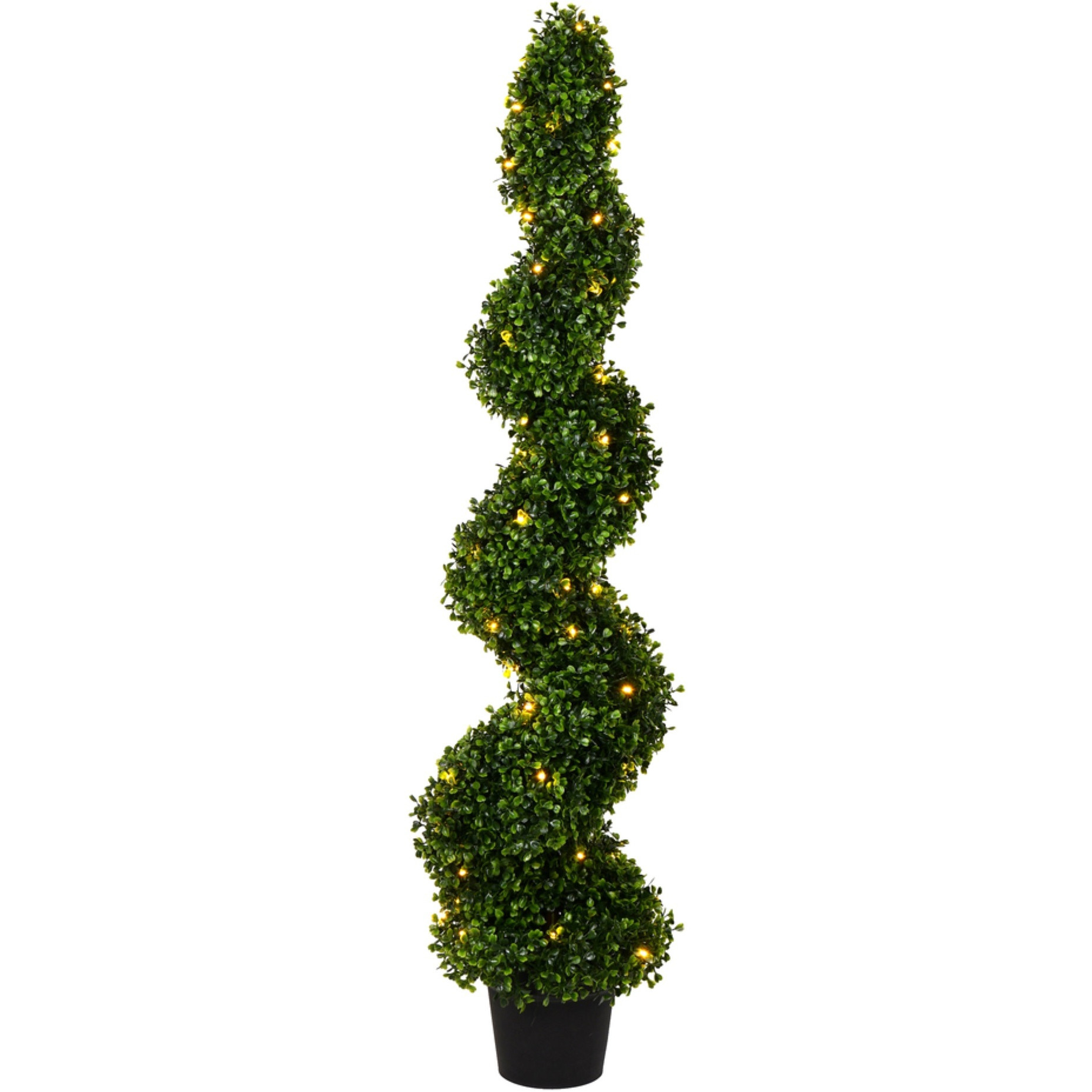 4' Boxwood Spiral in Pot UV 70WW LED