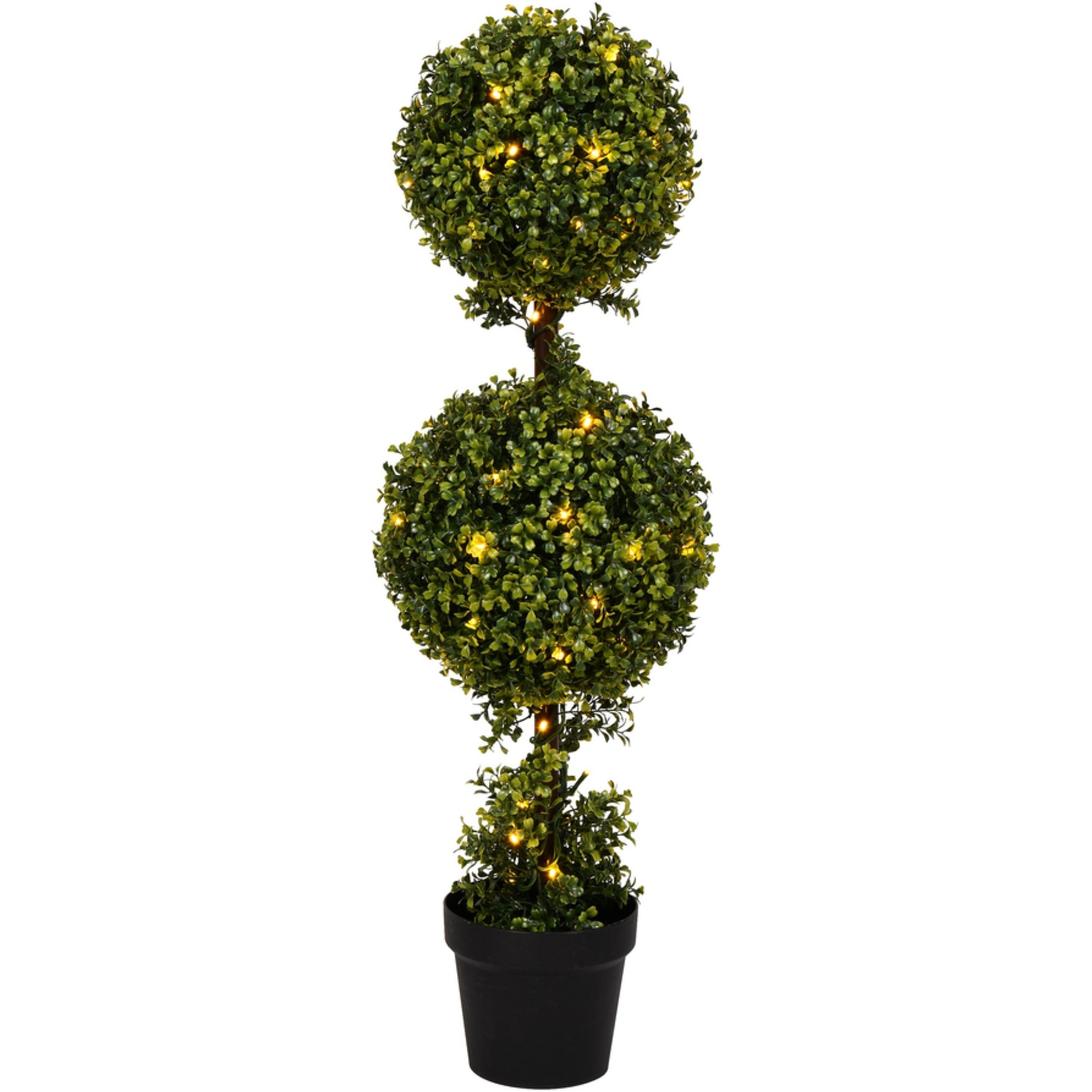 3' Boxwood Double in Pot 70WW LED