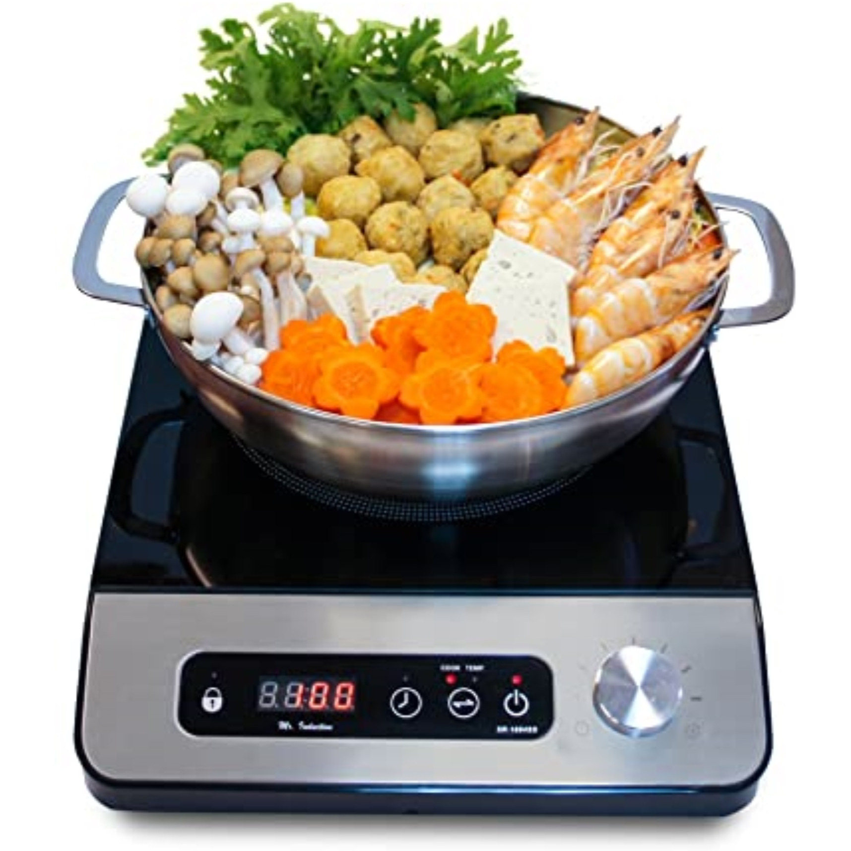 1650W Induction with Stainless Steel Panel & Control Knob + Pot Combo