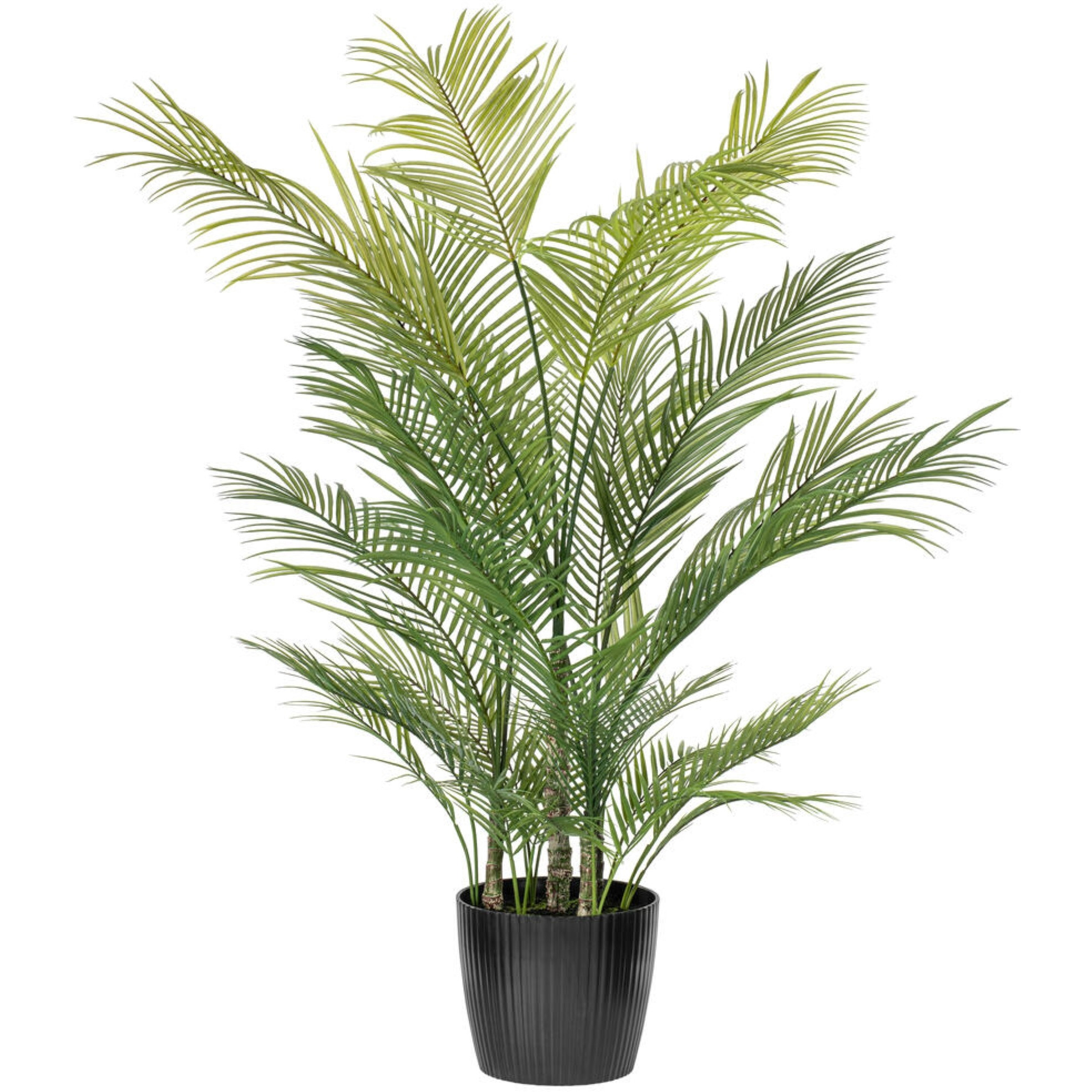 60" Green Areca Palm Plant