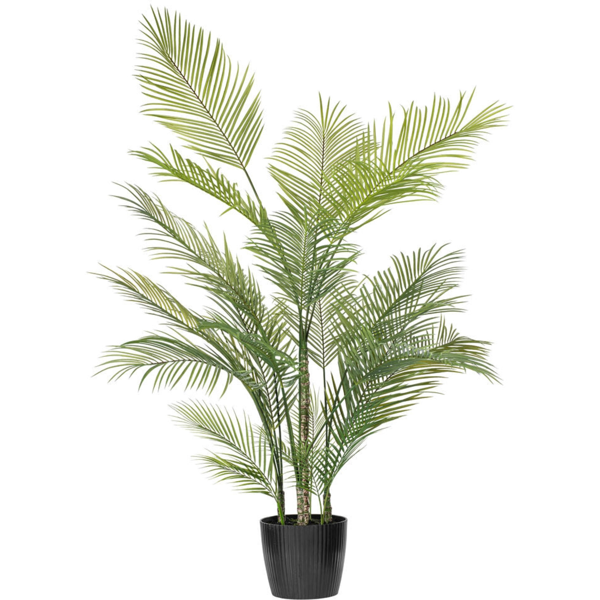 70.5" Green Areca Palm Plant