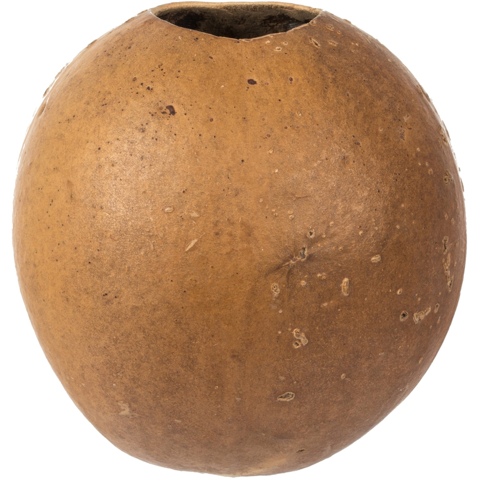 6-7" x 6-8" Natural Bacacuia Gourd 3Pk