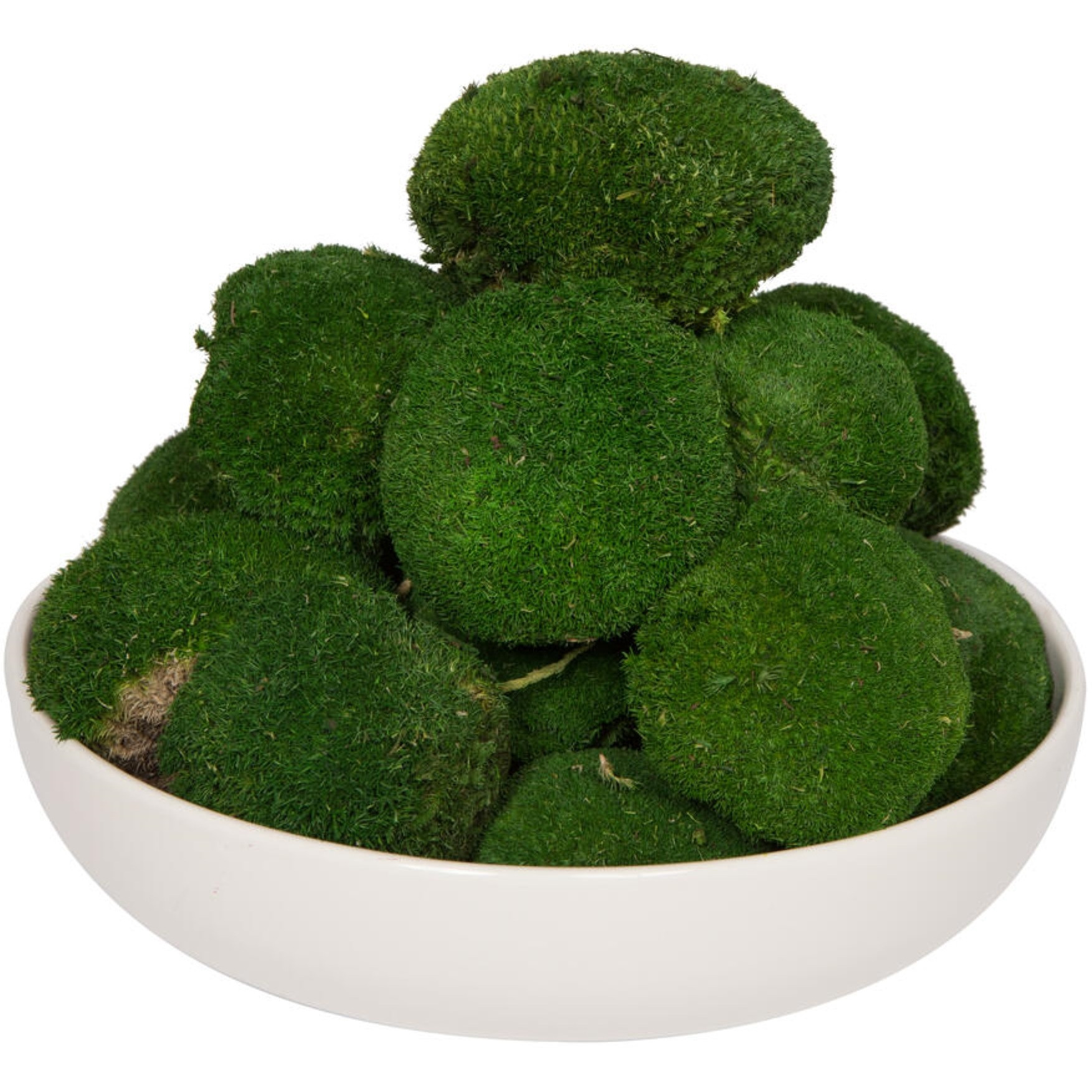 1 Lb. Apple Green Pole Moss