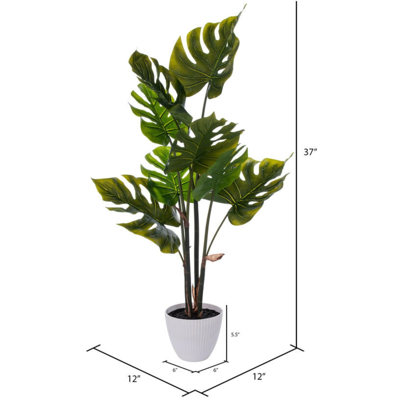 37" Green Monstera Plant x8 in White Pot